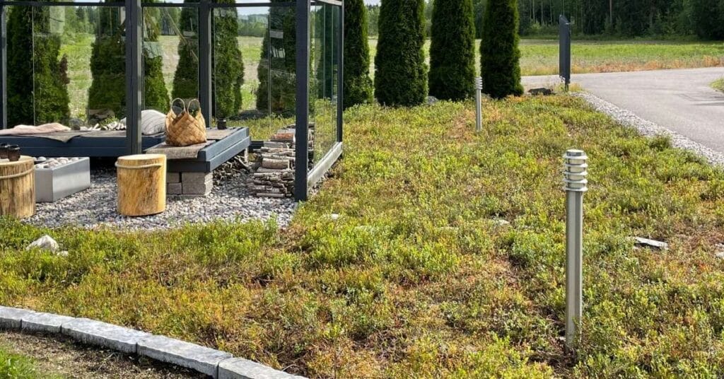 kuntta nurmikon päälle