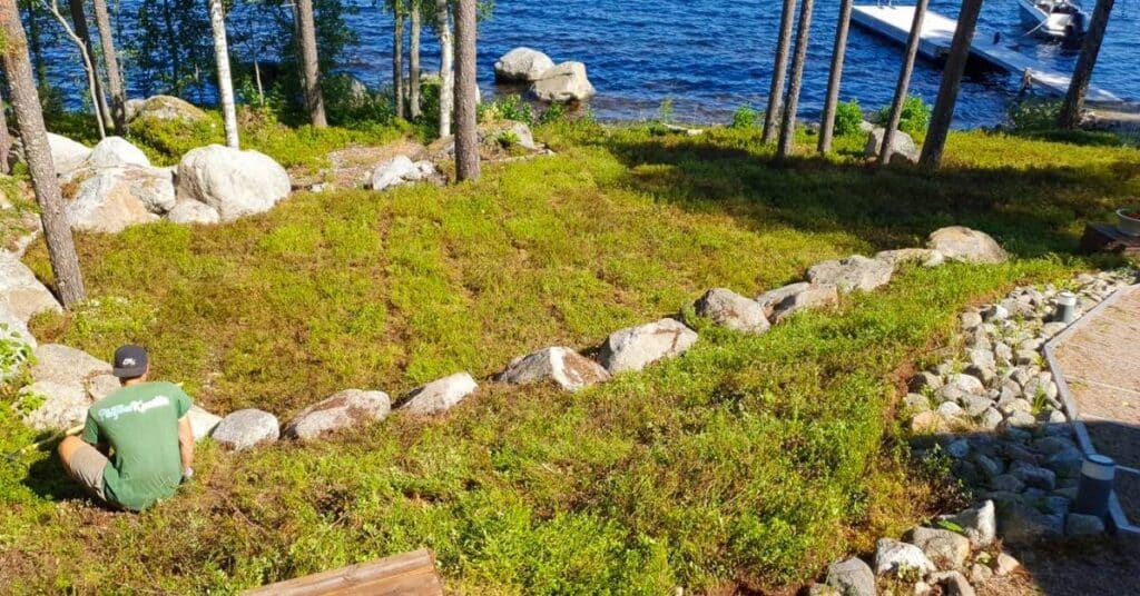 kuntta aurinkoisella paikalla